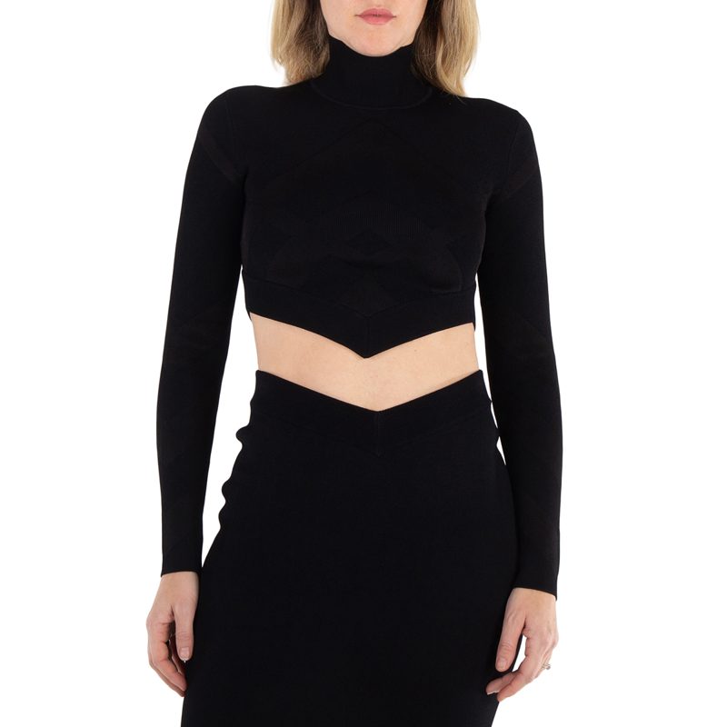 Long Sleeve Turtleneck Top
