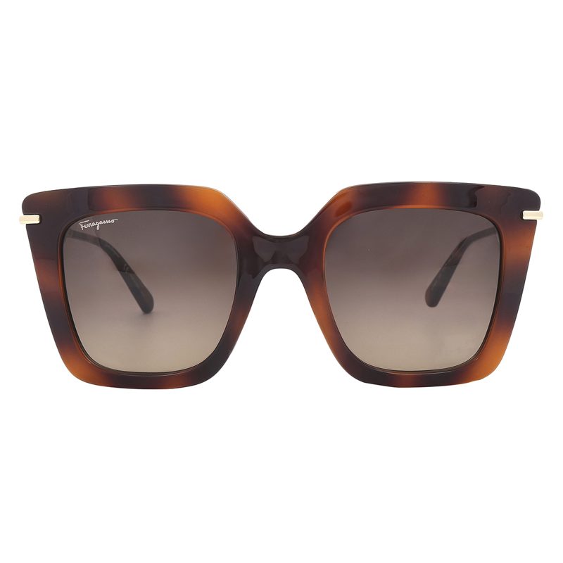 Salvatore Brown Gradient Butterfly Ladies Sunglasses SF1041S 238 51