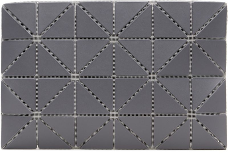Gray Lucent W Color Pouch 261730F045003