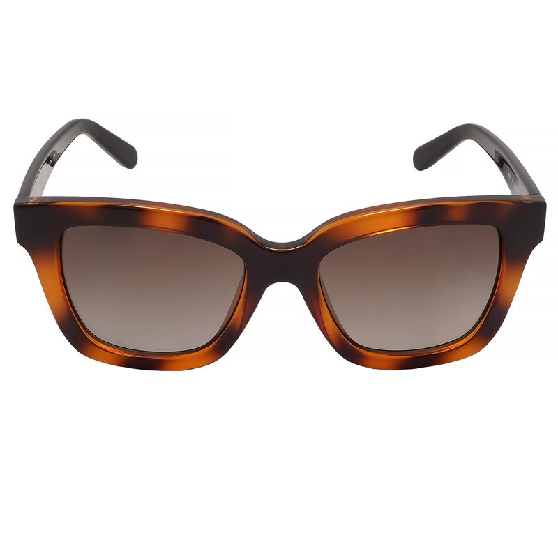 Salvatore Brown Gradient Rectangular Ladies Sunglasses SF955S 214 53
