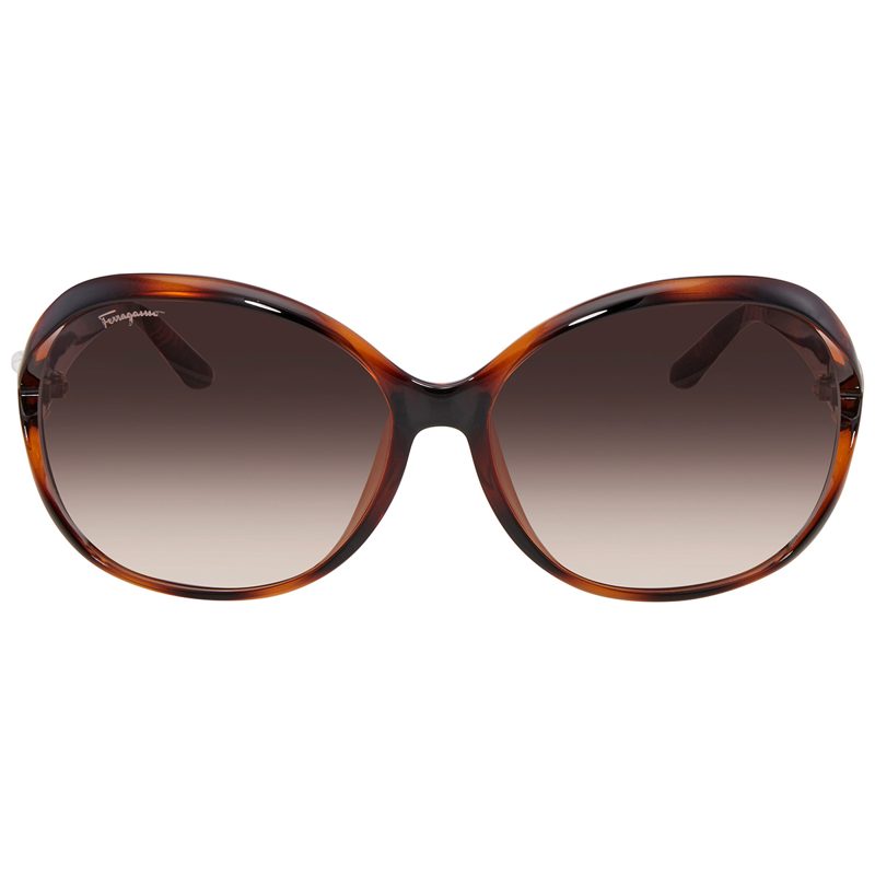 Salvatore Brown Gradient Oval Sunglasses SF770SA 214 61