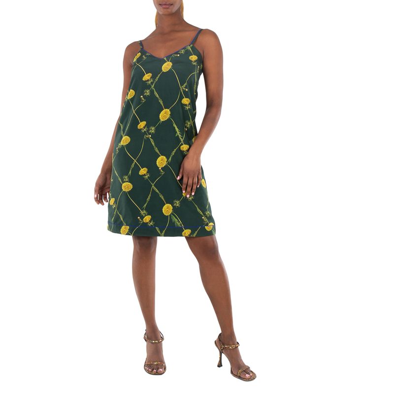 Dandelion Print Silk Dress_Ivy