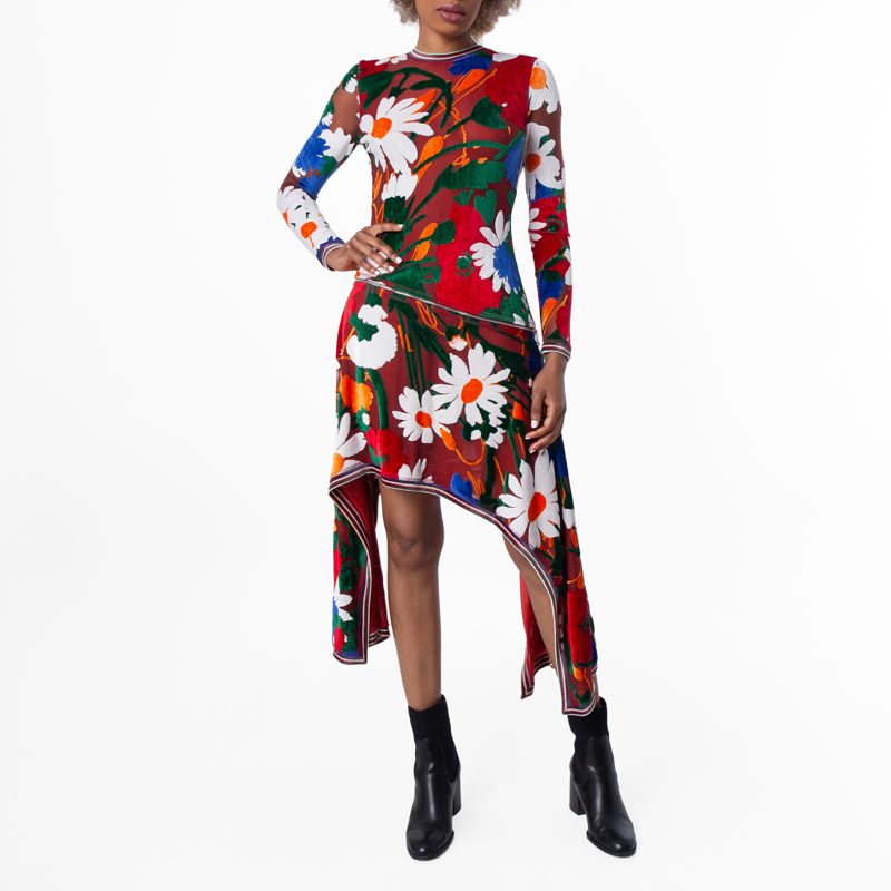 Daisy Garden Print Velvet Dress_Red / White Ip Pattern