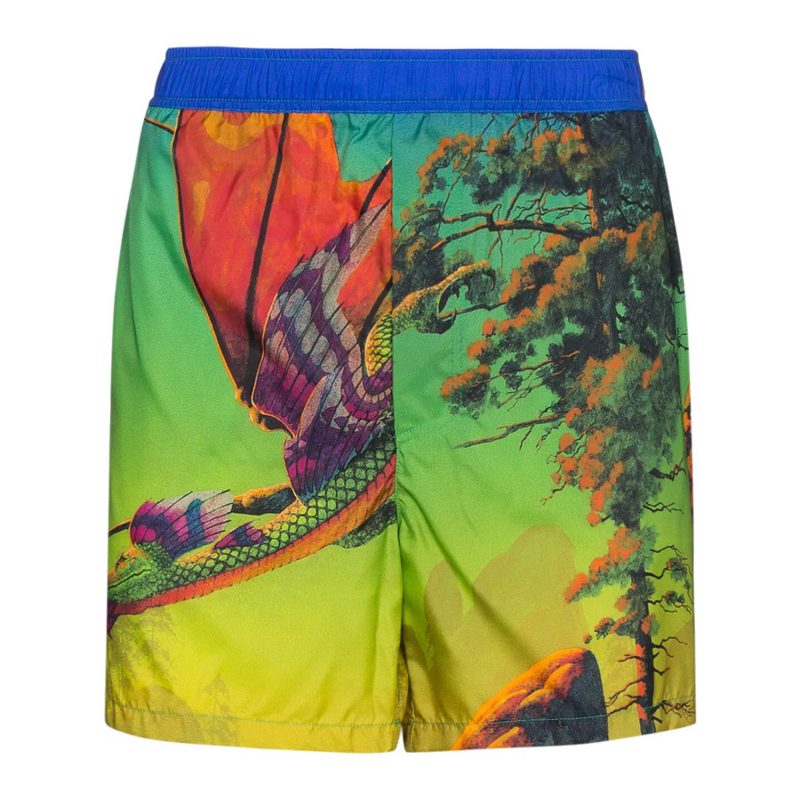 Garavani Garavani Dragon At Dawn Print Swim Shorts