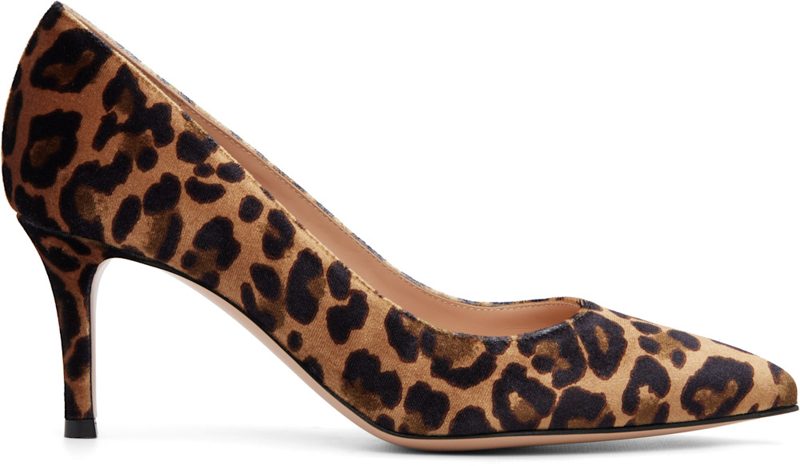 Brown Gianvito 70 Heels 262090F122010