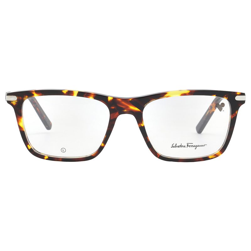 Salvatore Demo Square Mens Eyeglasses SF2959 219 55