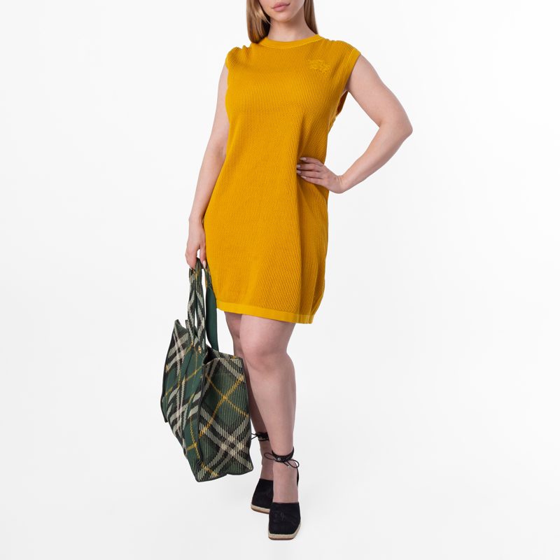Ekd-Embroidered Cotton Mesh Dress_Sunflower