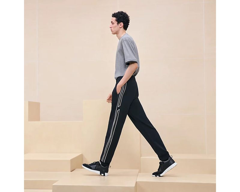 HERMES