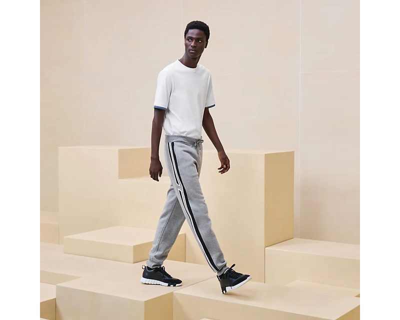 HERMES