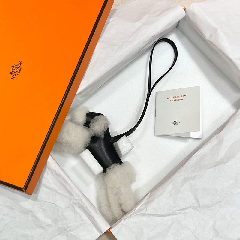 HERMES